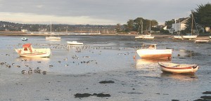 bateaux et bernaches Lumières d'hiver et bernache derrière le Cap Coz