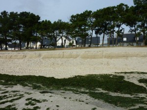 Falaise de sable d'1.80 m sur la plage de Cap Coz le 31 Octobre 2009