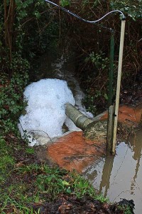 Pollution par les mousses