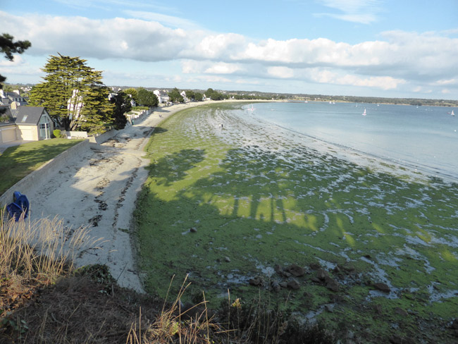 Photo 12 : Cap Coz en octobre 2013, vous avez dit une année sans algues vertes ?