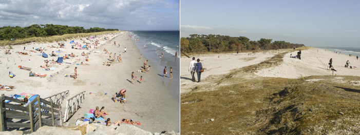de aout 2013 à mars 2014, la plage de Cleut-Rouz s'est étalée ...vers l'intérieur des terres !