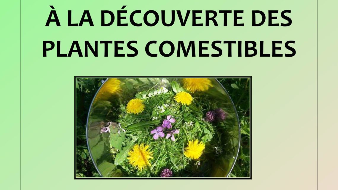 atelier-promenade « à la découverte des plantes comestibles »